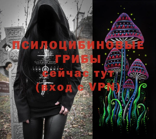 спиды Зерноград